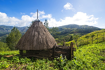 Traditional house in the mountains, Maubisse, East Timor, Southeast Asia, Asia