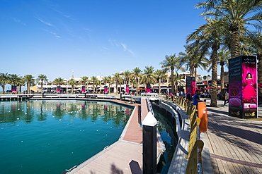 Palm fringed walkway on Marina Mall, Kuwait City, Kuwait, Middle East