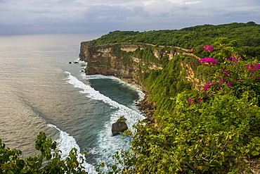 The sheer cliffs in the Uluwatu Temple (Pura Luhur Uluwatu) area, Uluwatu, Bali, Indonesia, Southeast Asia, Asia