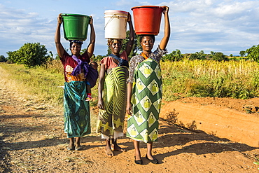 Local women carrying buckets on their heads, Malawi, Africa