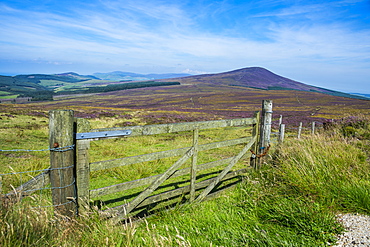 Pasture in the interior of the Isle of Man, crown dependency of the United Kingdom, Europe