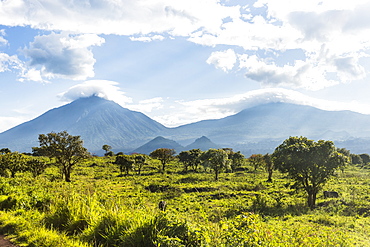 The volcanic mountain chain of the Virunga National Park, UNESCO World Heritage Site, Democratic Republic of the Congo, Africa