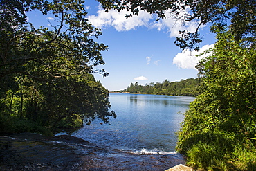 Mandala falls flowing in the artificial lake on the Mulunguzi Dam, Zomba Plateau, Malawi, Africa