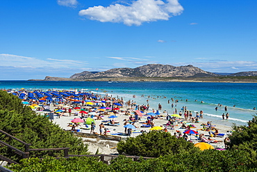 Beach of Pelosa, Sardinia, Italy, Mediterranean, Europe