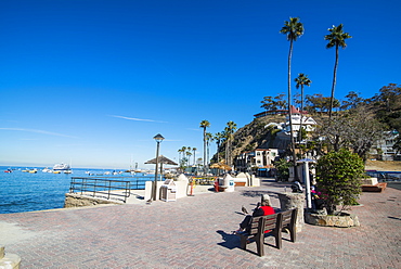 The waterfront of Avalon, Santa Catalina Island, California, United States of America, North America