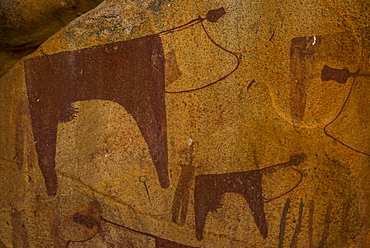 Cave paintings in Lass Geel caves, Somaliland, Somalia, Africa