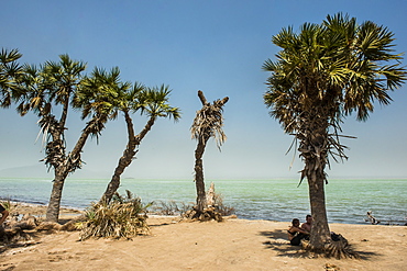 Salt Lake Afrera, Danakil depression, Ethiopia, Africa