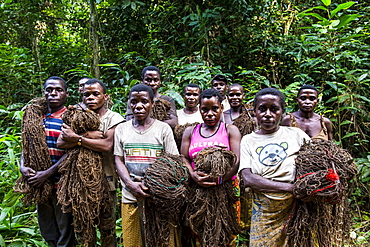 Baka pygmies on their way to go net-hunting, in the Dzanga-Sangha Special Reserve, UNESCO World Heritage Site, Central African Republic, Africa