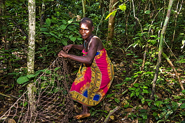 Baka pygmies on their way to go net-hunting, in the Dzanga-Sangha Special Reserve, UNESCO World Heritage Site, Central African Republic, Africa