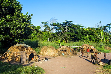 Traditional Baka pygmy village in the Dzanga-Sangha Special Reserve, UNESCO World Heritage Site, Central African Republic, Africa