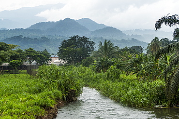 The Botanical Gardens of Limbe, southern Cameroon, Africa