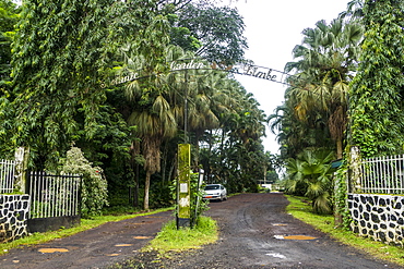 The Botanical Gardens of Limbe, southern Cameroon, Africa