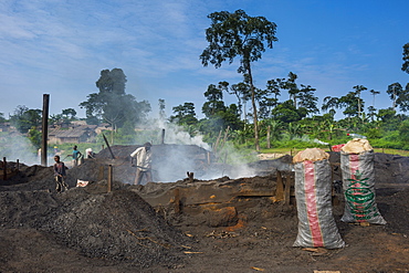 Coal production out of wood (charcoal), Libongo, deep in the jungle, Cameroon, Africa