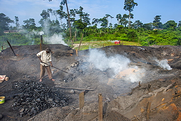 Coal production out of wood (charcoal), Libongo, deep in the jungle, Cameroon, Africa