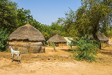 Traditional huts in the National Museum, Niamey, Niger, Africa