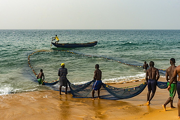 Local fishermen pulling their nets on a beach in Robertsport, Liberia, West Africa, Africa