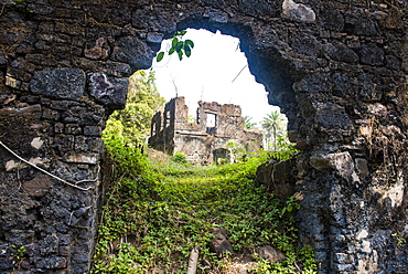 Old ruins of the former slave colony, Bunce island, Sierra Leone, West Africa, Africa