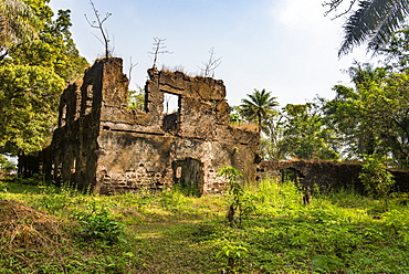 Old ruins of the former slave colony on Bunce island, Sierra Leone, West Africa, Africa