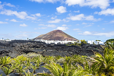 Volcanic cone over the vineyards of Lanzarote, Canary Islands, Spain, Atlantic, Europe