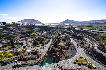 Jardin de Cactus (Cactus Garden) Cesar Manrique, Lanzarote, Canary Islands, Spain, Atlantic, Europe