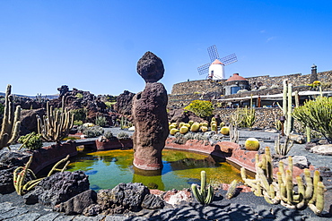 Jardin de Cactus (Cactus Garden) Cesar Manrique, Lanzarote, Canary Islands, Spain, Atlantic, Europe