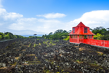 Red walkway in the vineyards in the Wine museum of Pico, UNESCO World Heritage Site, Island of Pico, Azores, Portugal, Atlantic, Europe