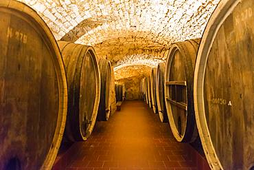 Old barrels in the Shabo winery, Black Sea, Ukraine, Europe