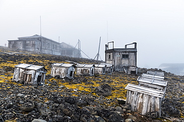 Polar huskies boxes in the historical meteorological station Sedov in Tikhaya Bay on Hooker island, Franz Josef Land archipelago, Arkhangelsk Oblast, Arctic, Russia, Europe