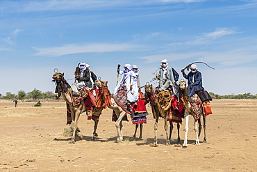 Colourful camel riders at a tribal festival, Sahel, Chad, Africa