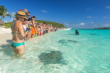 Tourists standing on a white sand beach with rays swimming in the turquoise waters, Exumas, Bahamas, West Indies, Caribbean, Central America