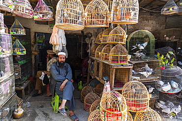 Birds for sale, Bird Street, Kabul, Afghanistan, Asia