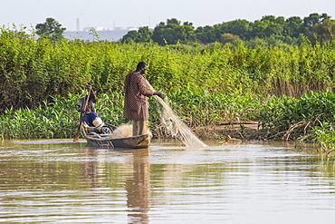 Fishermen in their canoe, Niger river, Niamey, Niger, West Africa, Africa