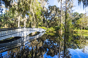 Bridge refelcting in a pond in the Magnolia Plantation outside Charleston, South Carolina, United States of America, North America