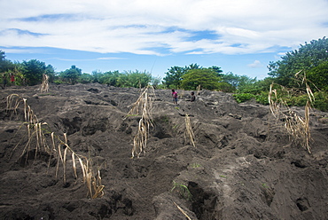 Ground full of holes from Megapode hunters digging for eggs of the Megapode birds (Megapodiidae), East New Britain, Papua New Guinea, Pacific