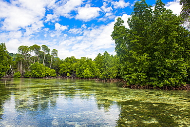 Crystal clear water in the Utwe lagoon, UNESCO Biosphere Reserve, Kosrae, Federated States of Micronesia, South Pacific