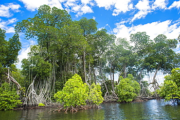 Crystal clear water in the Utwe lagoon, UNESCO Biosphere Reserve, Kosrae, Federated States of Micronesia, South Pacific