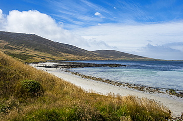 View over Carcass Island, Falkland Islands, South America