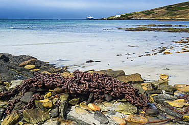 Rusty chain on a beach, Carcass Island, Falkland Islands, South America