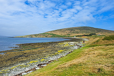 Pretty bay in Carcass Island, Falkland Islands, South America