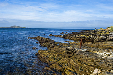 View over Carcass Island, Falkland Islands, South America