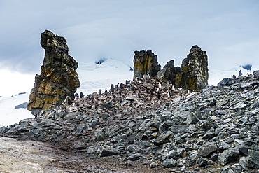 Penguins below dramatic rock formations, Half Moon Bay, South Sheltand Islands, Antarctica, Polar Regions