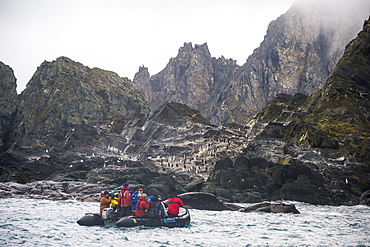 Tourists on a zodiac watching a dolphin colony, Elephant Island, South Shetland Islands, Antarctica, Polar Regions