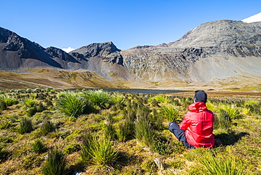 Woman admiring the beautiful scenery of Godthul, South Georgia, Antarctica, Polar Regions