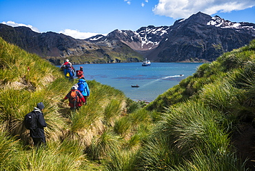 Tourists hiking in Godthul, South Georgia, Antarctica, Polar Regions