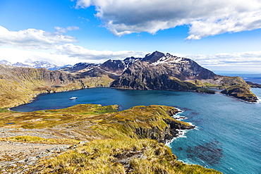 View over Godthul, South Georgia, Antarctica, Polar Regions