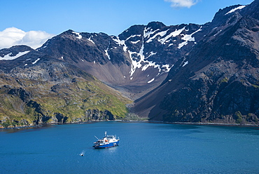 Cruise ship anchoring in the bay of Godthul, South Georgia, Antarctica, Polar Regions