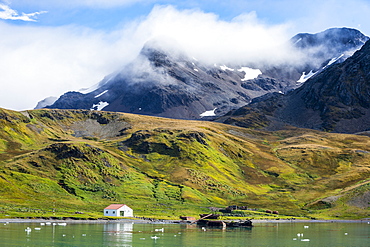 Former whaling station, Grytviken, South Georgia, Antarctica, Polar Regions