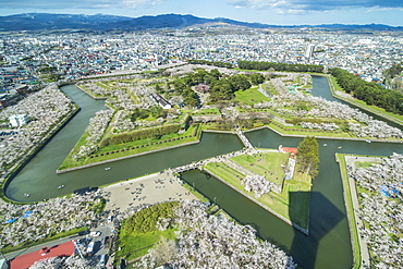 Star shaped Fort Goryokaku in the cherry blossom, Hakodate, Hokkaido, Japan, Asia