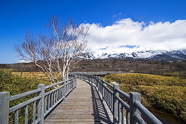 Shiretoko Goko Lakes, Shiretoko National Park, UNESCO World Heritage Site, Hokkaido, Japan, Asia