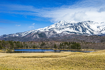 Shiretoko Goko Lakes, Shiretoko National Park, UNESCO World Heritage Site, Hokkaido, Japan, Asia